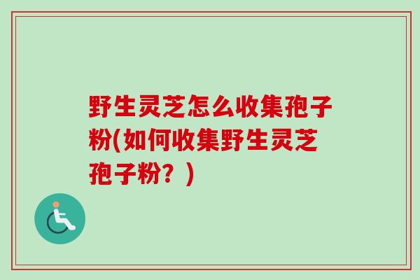 野生灵芝怎么收集孢子粉(如何收集野生灵芝孢子粉？)
