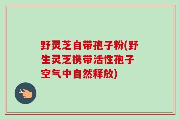 野灵芝自带孢子粉(野生灵芝携带活性孢子 空气中自然释放) 野灵芝自带孢子粉(野生灵芝携带活性孢子 空气中自然释放)