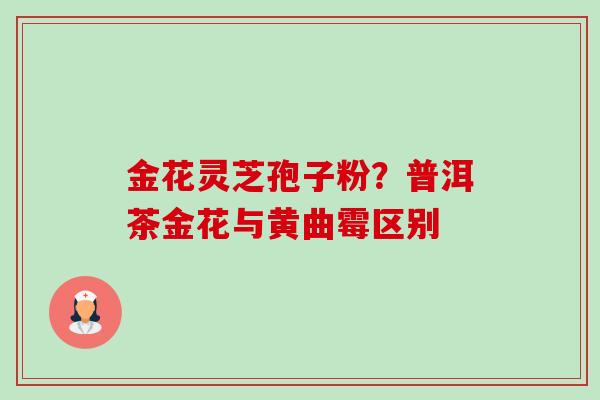 金花灵芝孢子粉?普洱茶金花与黄曲霉区别 金花灵芝孢子粉?普洱茶金花与黄曲霉区别