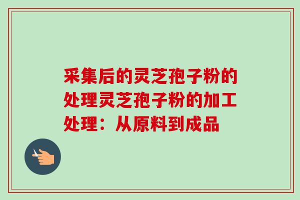 采集后的灵芝孢子粉的处理灵芝孢子粉的加工处理:从原料到成品 采集后的灵芝孢子粉的处理灵芝孢子粉的加工处理:从原料到成品
