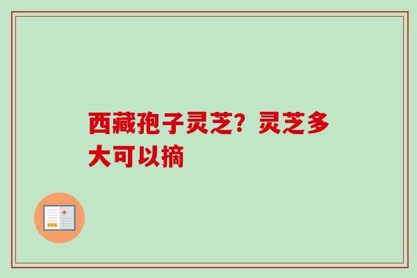 西藏孢子灵芝？灵芝多大可以摘