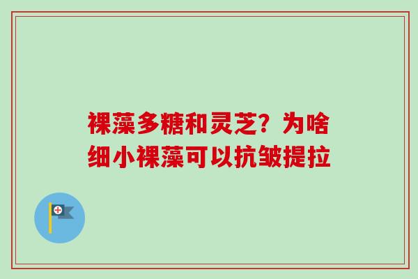裸藻多糖和灵芝?为啥细小裸藻可以抗皱提拉 裸藻多糖和灵芝?为啥细小裸藻可以抗皱提拉