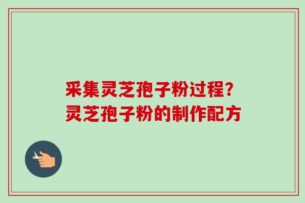 采集灵芝孢子粉过程?灵芝孢子粉的制作配方 采集灵芝孢子粉过程?灵芝孢子粉的制作配方