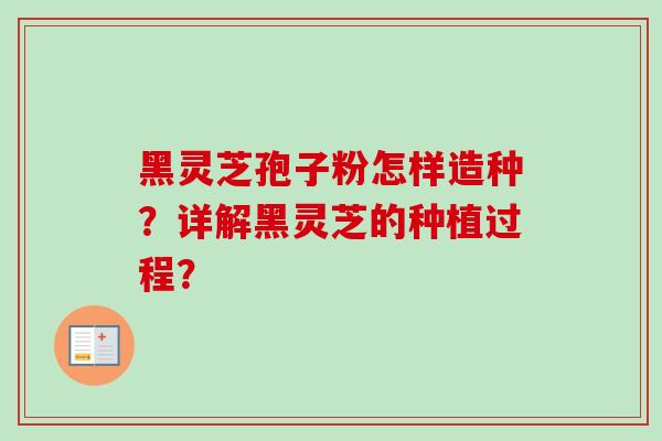 黑灵芝孢子粉怎样造种？详解黑灵芝的种植过程？