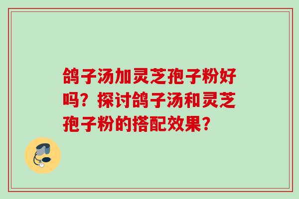 鸽子汤加灵芝孢子粉好吗?探讨鸽子汤和灵芝孢子粉的搭配效果? 鸽子汤加灵芝孢子粉好吗?探讨鸽子汤和灵芝孢子粉的搭配效果?