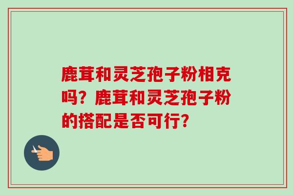 鹿茸和灵芝孢子粉相克吗？鹿茸和灵芝孢子粉的搭配是否可行？
