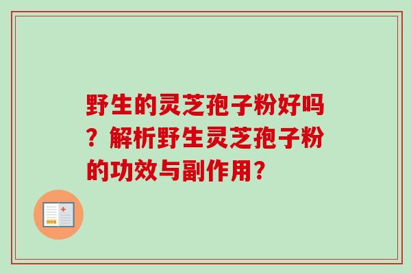 野生的灵芝孢子粉好吗?解析野生灵芝孢子粉的功效与副作用? 野生的灵芝孢子粉好吗?解析野生灵芝孢子粉的功效与副作用?