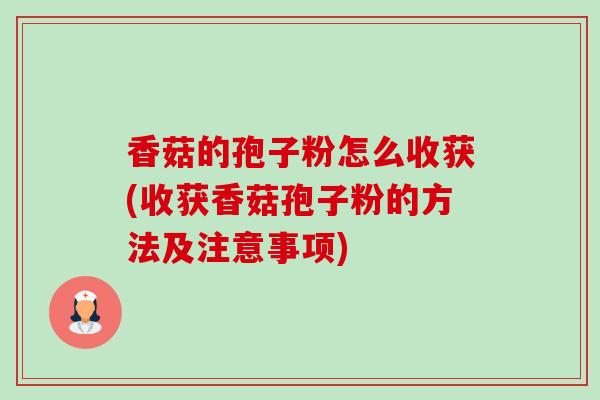 香菇的孢子粉怎么收获(收获香菇孢子粉的方法及注意事项) 香菇的孢子粉怎么收获(收获香菇孢子粉的方法及注意事项)