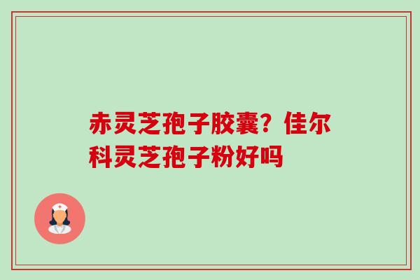 赤灵芝孢子胶囊？佳尔科灵芝孢子粉好吗