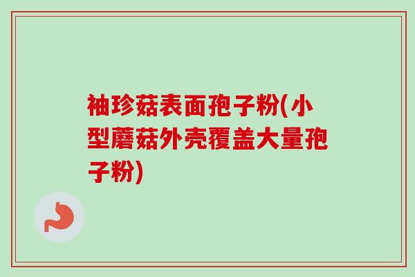 袖珍菇表面孢子粉(小型蘑菇外壳覆盖大量孢子粉) 袖珍菇表面孢子粉(小型蘑菇外壳覆盖大量孢子粉)