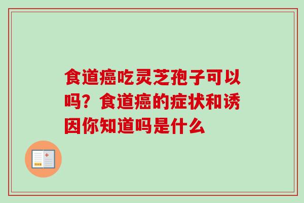 食道吃灵芝孢子可以吗?食道的症状和诱因你知道吗是什么 食道吃灵芝孢子可以吗?食道的症状和诱因你知道吗是什么