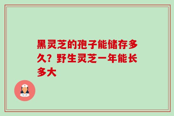 黑灵芝的孢子能储存多久?野生灵芝一年能长多大 黑灵芝的孢子能储存多久?野生灵芝一年能长多大