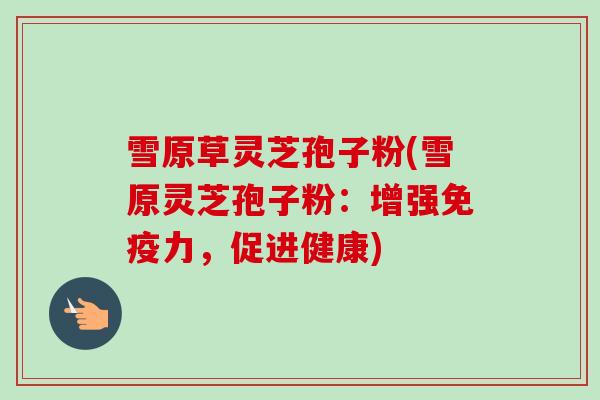 雪原草灵芝孢子粉(雪原灵芝孢子粉:增强免疫力,促进健康) 雪原草灵芝孢子粉(雪原灵芝孢子粉:增强免疫力,促进健康)