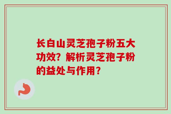 长白山灵芝孢子粉五大功效？解析灵芝孢子粉的益处与作用？