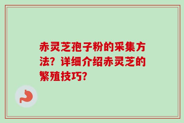 赤灵芝孢子粉的采集方法?详细介绍赤灵芝的繁殖技巧? 赤灵芝孢子粉的采集方法?详细介绍赤灵芝的繁殖技巧?