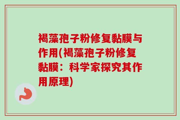 褐藻孢子粉修复黏膜与作用(褐藻孢子粉修复黏膜:科学家探究其作用原理) 褐藻孢子粉修复黏膜与作用(褐藻孢子粉修复黏膜:科学家探究其作用原理)