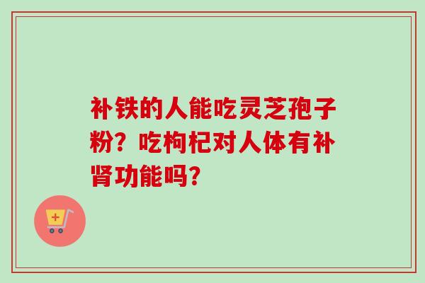 补铁的人能吃灵芝孢子粉?吃枸杞对人体有补功能吗? 补铁的人能吃灵芝孢子粉?吃枸杞对人体有补功能吗?