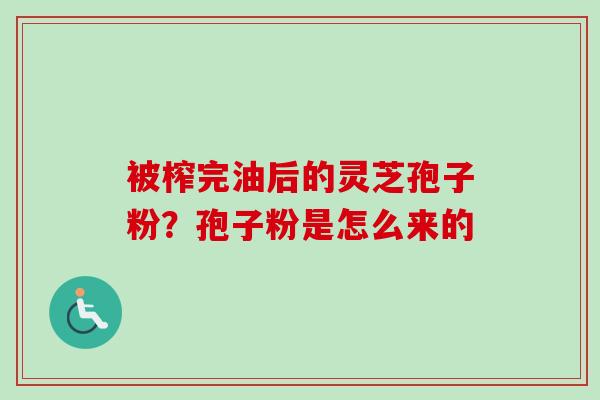 被榨完油后的灵芝孢子粉？孢子粉是怎么来的