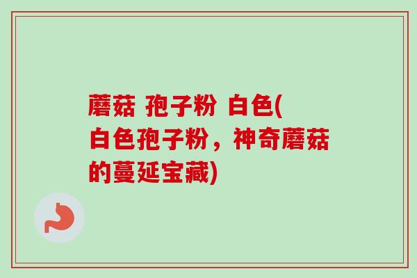 蘑菇 孢子粉 白色(白色孢子粉,神奇蘑菇的蔓延宝藏) 蘑菇 孢子粉 白色(白色孢子粉,神奇蘑菇的蔓延宝藏)