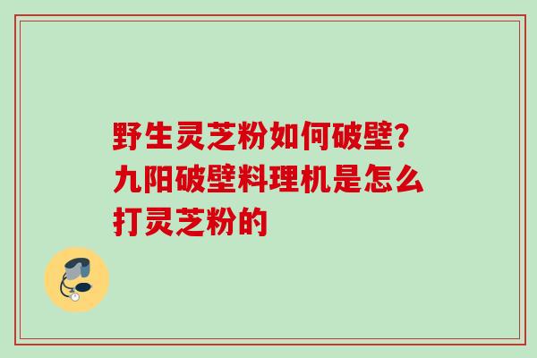 野生灵芝粉如何破壁？九阳破壁料理机是怎么打灵芝粉的