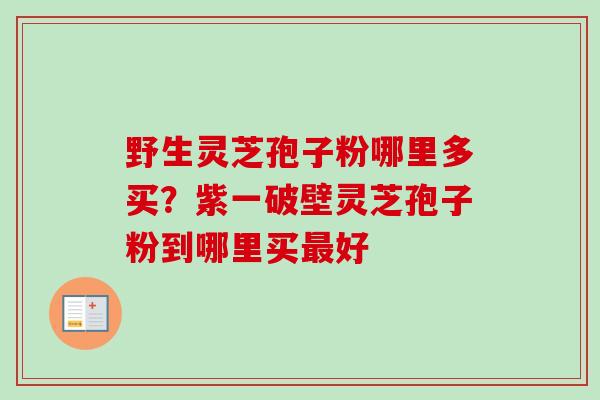 野生灵芝孢子粉哪里多买?紫一破壁灵芝孢子粉到哪里买好 野生灵芝孢子粉哪里多买?紫一破壁灵芝孢子粉到哪里买好