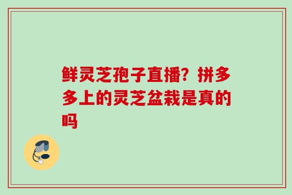 鲜灵芝孢子直播?拼多多上的灵芝盆栽是真的吗 鲜灵芝孢子直播?拼多多上的灵芝盆栽是真的吗
