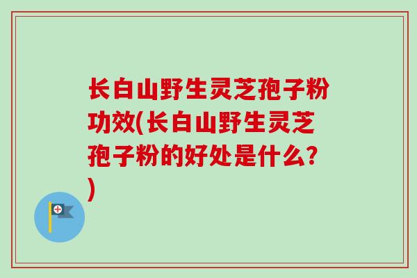 长白山野生灵芝孢子粉功效(长白山野生灵芝孢子粉的好处是什么?) 长白山野生灵芝孢子粉功效(长白山野生灵芝孢子粉的好处是什么?)