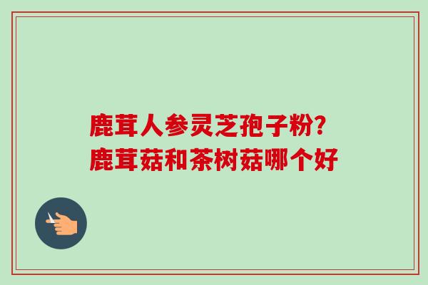 鹿茸人参灵芝孢子粉?鹿茸菇和茶树菇哪个好 鹿茸人参灵芝孢子粉?鹿茸菇和茶树菇哪个好