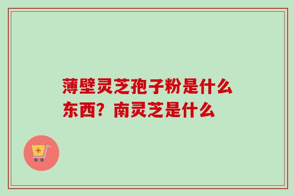薄壁灵芝孢子粉是什么东西?南灵芝是什么 薄壁灵芝孢子粉是什么东西?南灵芝是什么