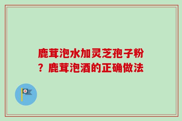 鹿茸泡水加灵芝孢子粉?鹿茸泡酒的正确做法 鹿茸泡水加灵芝孢子粉?鹿茸泡酒的正确做法
