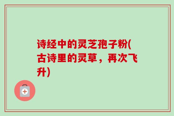 诗经中的灵芝孢子粉(古诗里的灵草,再次飞升) 诗经中的灵芝孢子粉(古诗里的灵草,再次飞升)