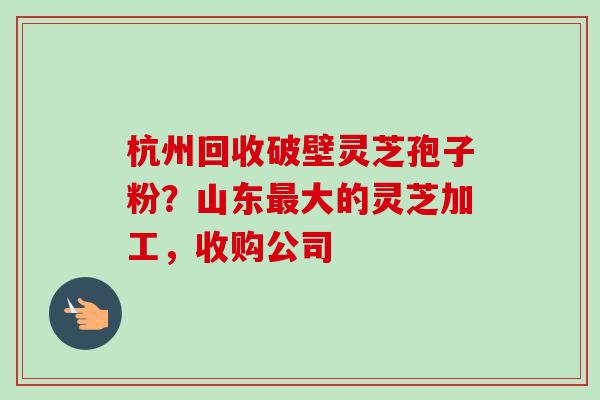杭州回收破壁灵芝孢子粉?山东大的灵芝加工,收购公司 杭州回收破壁灵芝孢子粉?山东大的灵芝加工,收购公司