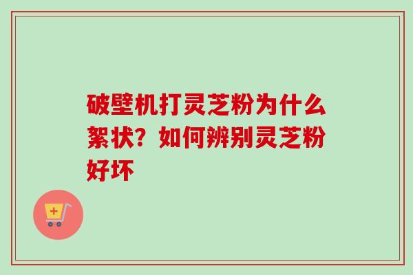 破壁机打灵芝粉为什么絮状?如何辨别灵芝粉好坏 破壁机打灵芝粉为什么絮状?如何辨别灵芝粉好坏