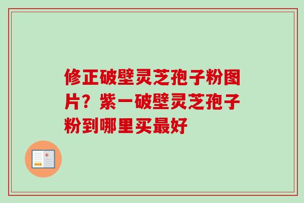 修正破壁灵芝孢子粉图片?紫一破壁灵芝孢子粉到哪里买好 修正破壁灵芝孢子粉图片?紫一破壁灵芝孢子粉到哪里买好