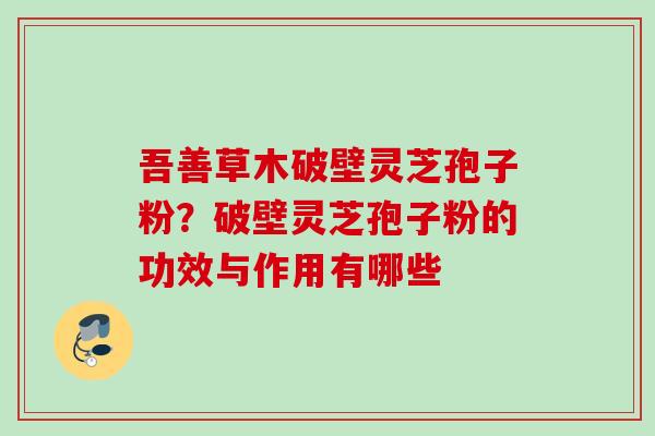 吾善草木破壁灵芝孢子粉?破壁灵芝孢子粉的功效与作用有哪些 吾善草木破壁灵芝孢子粉?破壁灵芝孢子粉的功效与作用有哪些
