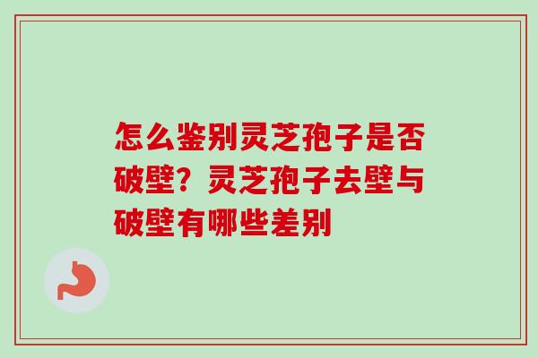 怎么鉴别灵芝孢子是否破壁？灵芝孢子去壁与破壁有哪些差别