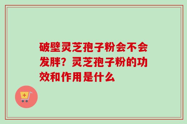 破壁灵芝孢子粉会不会发胖？灵芝孢子粉的功效和作用是什么