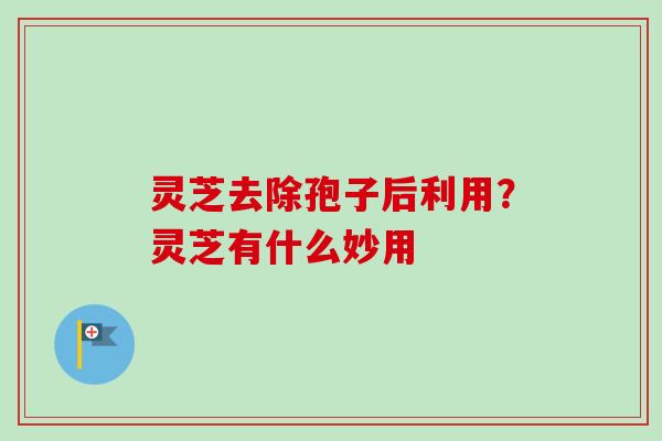 灵芝去除孢子后利用？灵芝有什么妙用