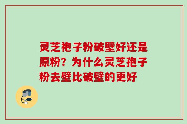 灵芝袍子粉破壁好还是原粉?为什么灵芝孢子粉去壁比破壁的更好 灵芝袍子粉破壁好还是原粉?为什么灵芝孢子粉去壁比破壁的更好