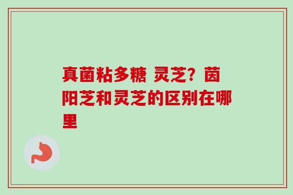 真菌粘多糖 灵芝?茵阳芝和灵芝的区别在哪里 真菌粘多糖 灵芝?茵阳芝和灵芝的区别在哪里