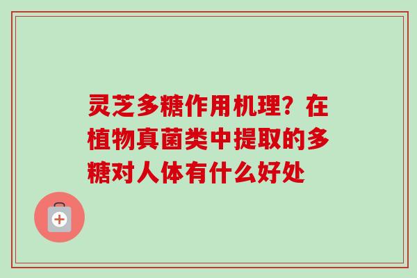 灵芝多糖作用机理?在植物真菌类中提取的多糖对人体有什么好处 灵芝多糖作用机理?在植物真菌类中提取的多糖对人体有什么好处