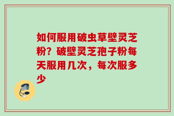 如何服用破虫草壁灵芝粉?破壁灵芝孢子粉每天服用几次,每次服多少 如何服用破虫草壁灵芝粉?破壁灵芝孢子粉每天服用几次,每次服多少