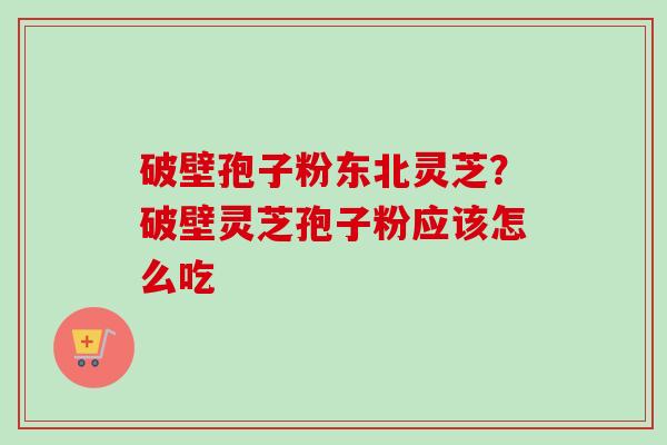 破壁孢子粉东北灵芝？破壁灵芝孢子粉应该怎么吃