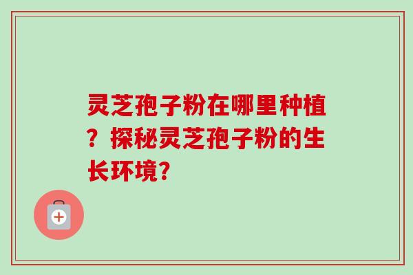 灵芝孢子粉在哪里种植?探秘灵芝孢子粉的生长环境? 灵芝孢子粉在哪里种植?探秘灵芝孢子粉的生长环境?