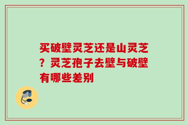 买破壁灵芝还是山灵芝?灵芝孢子去壁与破壁有哪些差别 买破壁灵芝还是山灵芝?灵芝孢子去壁与破壁有哪些差别