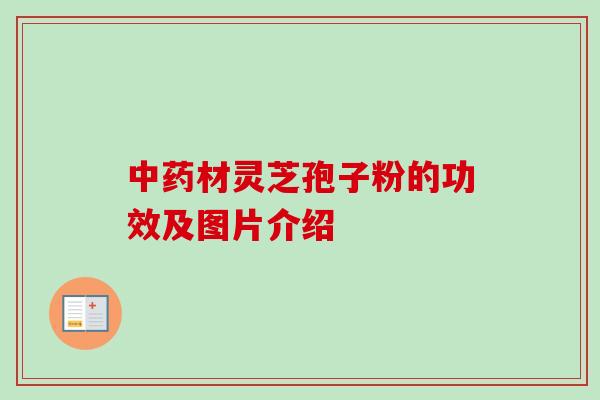 材灵芝孢子粉的功效及图片介绍 材灵芝孢子粉的功效及图片介绍