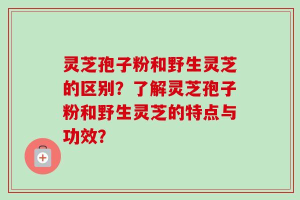 灵芝孢子粉和野生灵芝的区别?了解灵芝孢子粉和野生灵芝的特点与功效? 灵芝孢子粉和野生灵芝的区别?了解灵芝孢子粉和野生灵芝的特点与功效?