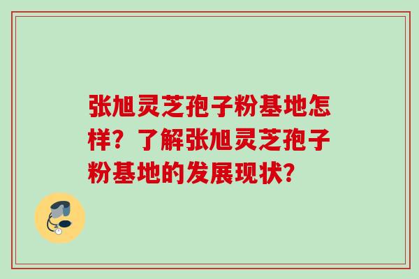 张旭灵芝孢子粉基地怎样?了解张旭灵芝孢子粉基地的发展现状? 张旭灵芝孢子粉基地怎样?了解张旭灵芝孢子粉基地的发展现状?