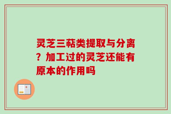 灵芝三萜类提取与分离？加工过的灵芝还能有原本的作用吗