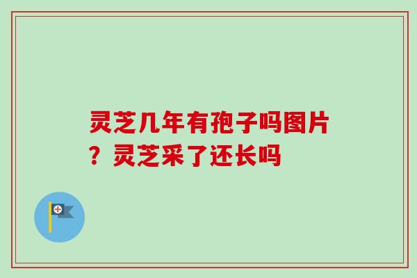 灵芝几年有孢子吗图片?灵芝采了还长吗 灵芝几年有孢子吗图片?灵芝采了还长吗